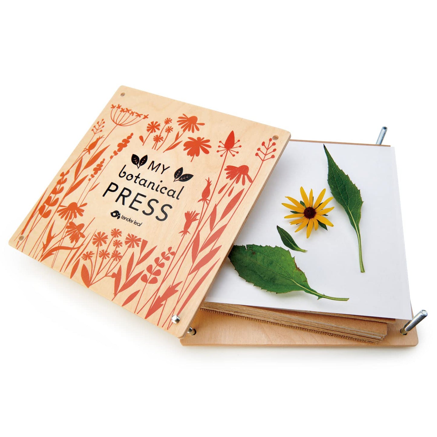 Tender Leaf Toys - My Botanical Press - 8.3 x 8.3 Inch 10 Layers Flower Press, DIY Dried and preserved flowers and leaves, Plants Art & Crafts kit - Age 3+