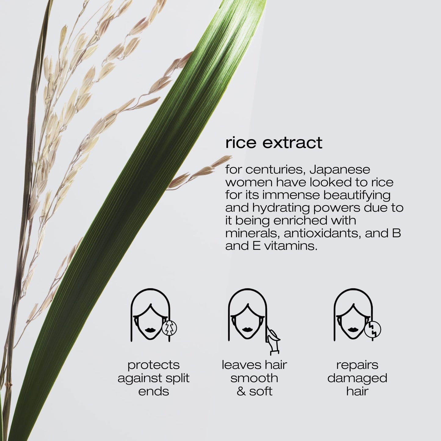 Shu Uemura Ultimate Reset Extreme Repair Conditioner | Strengthens to Reduce Breakage and Split Ends | Deeply Conditions and Nourishes | With Japanese Rice Extract | For Dry and Very Damaged Hair
