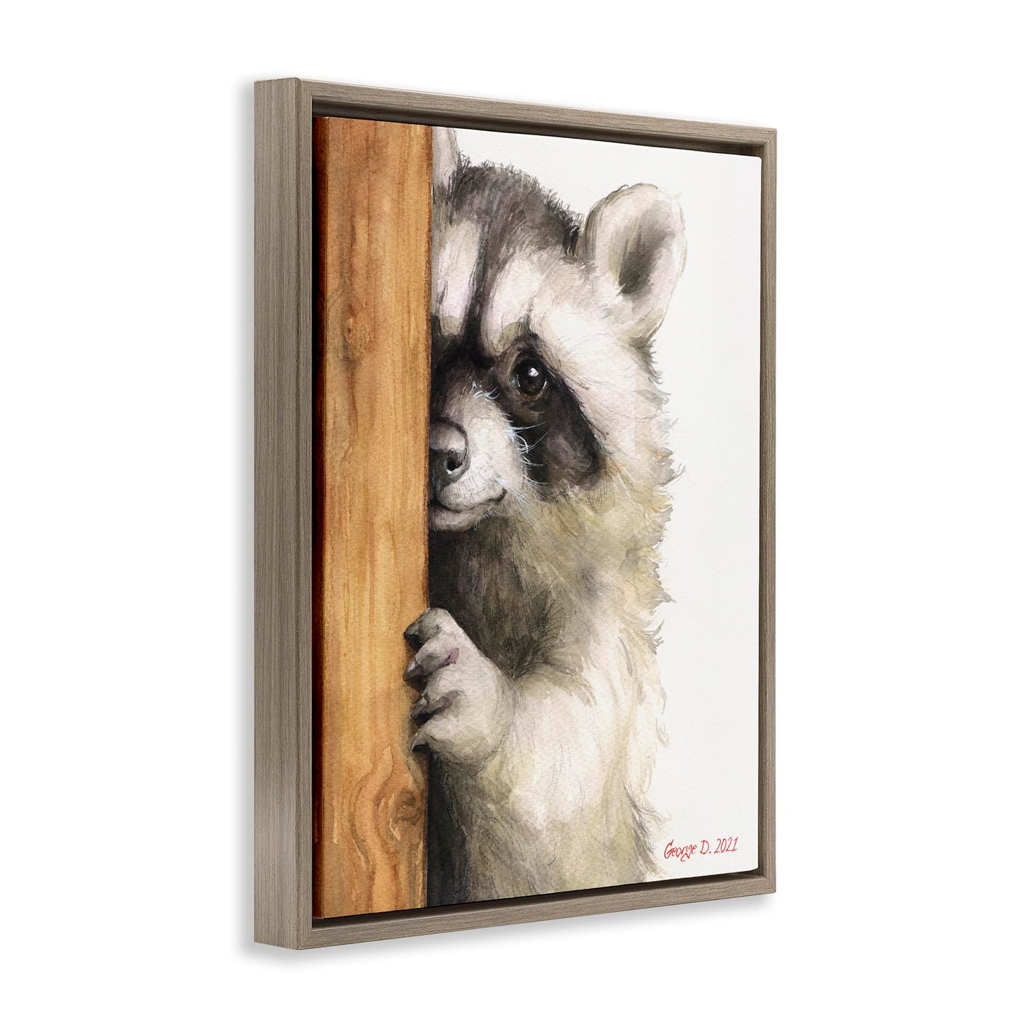 Stupell Industries Peering Raccoon Watercolor Framed Floater Canvas Wall Art by George Dyachenko