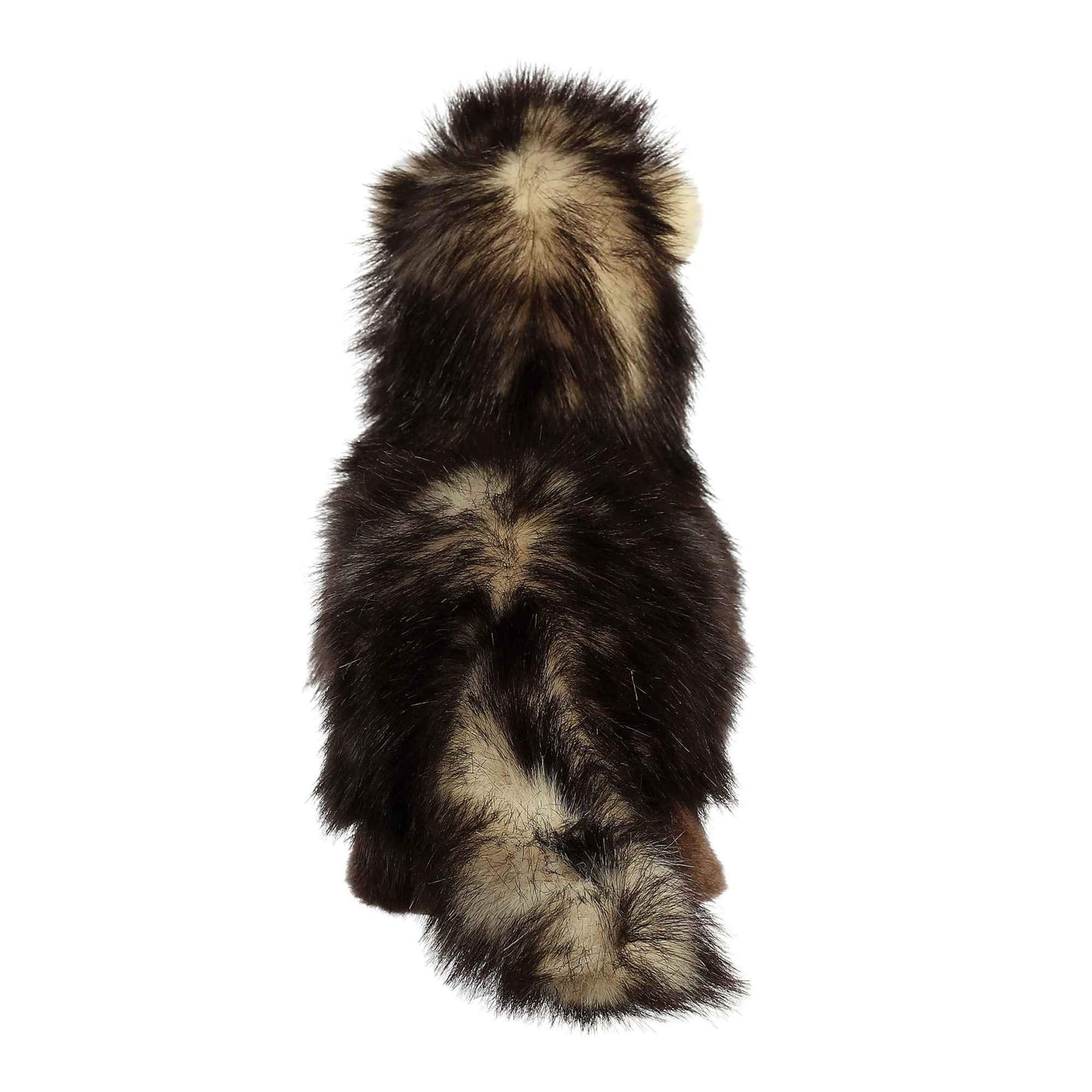 Aurora - Ferret 10"