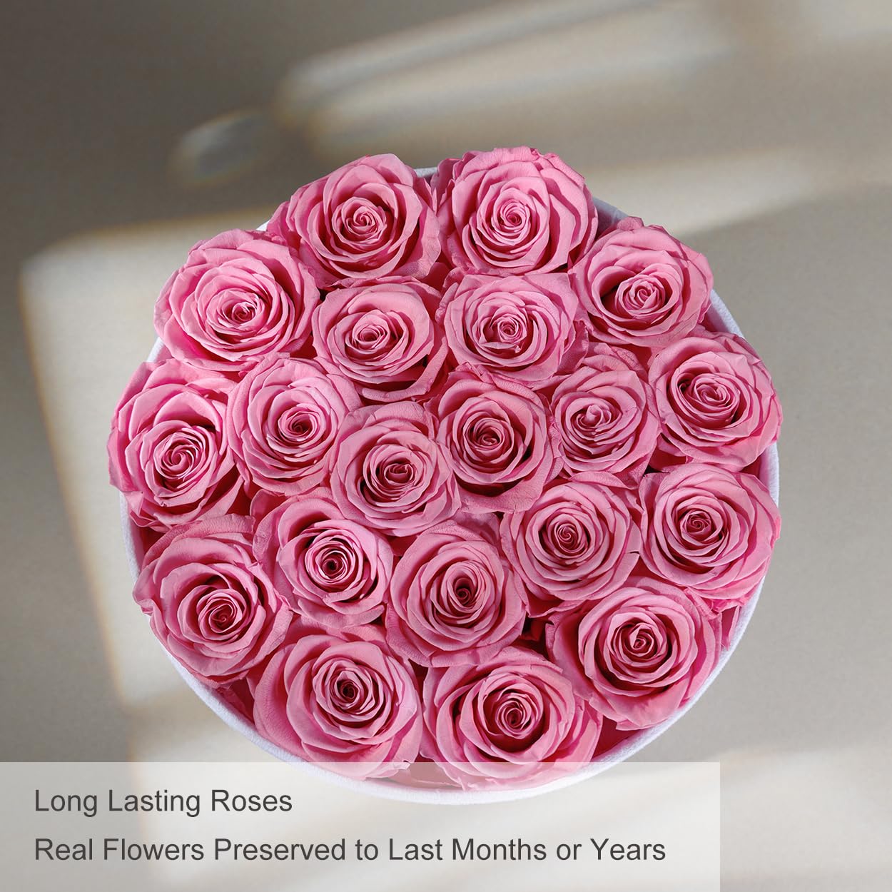 Gifts for Women Preserved Roses Flower Box, Luxury Velvet Box with 20 Roses, Preserved Flowers, Romantic Gift for Her, Wife, Girlfriend, Birthday Anniversary Christmas (Pink)