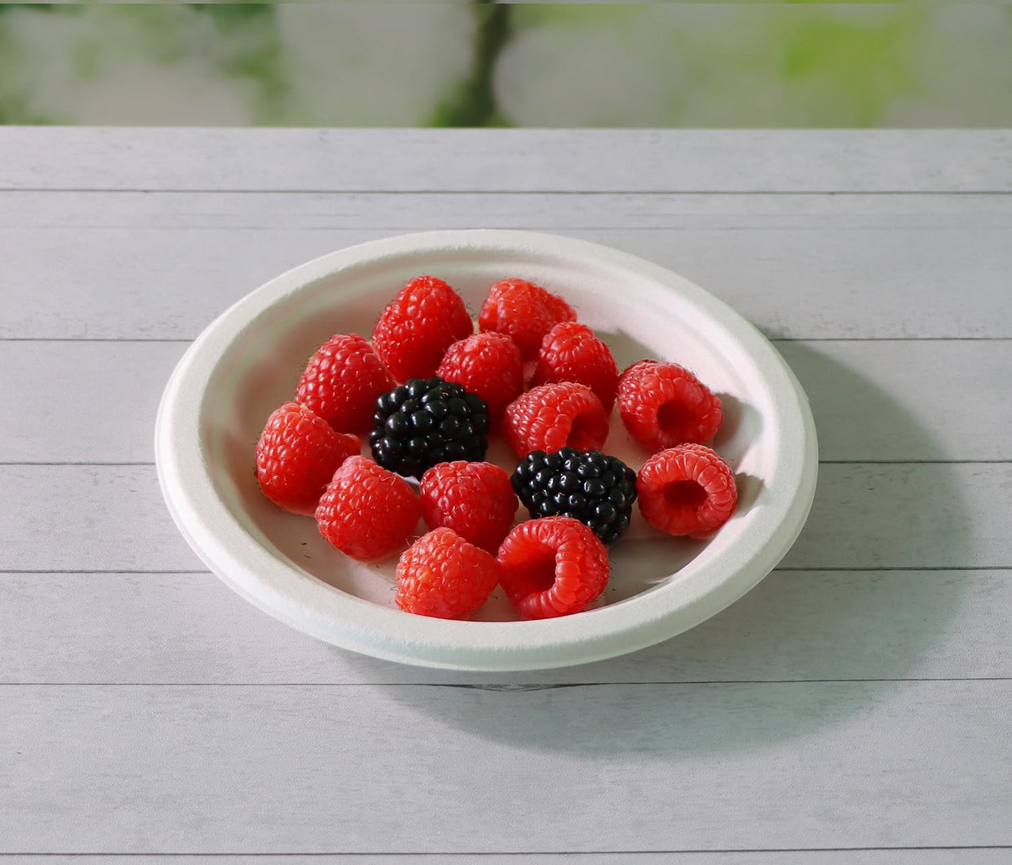 CantaGreen 500 Count 6 Inch Small Heavy Duty Compostable Dessert Plates, Biodegradable Bagasse and Bamboo Fiber Paper Plates