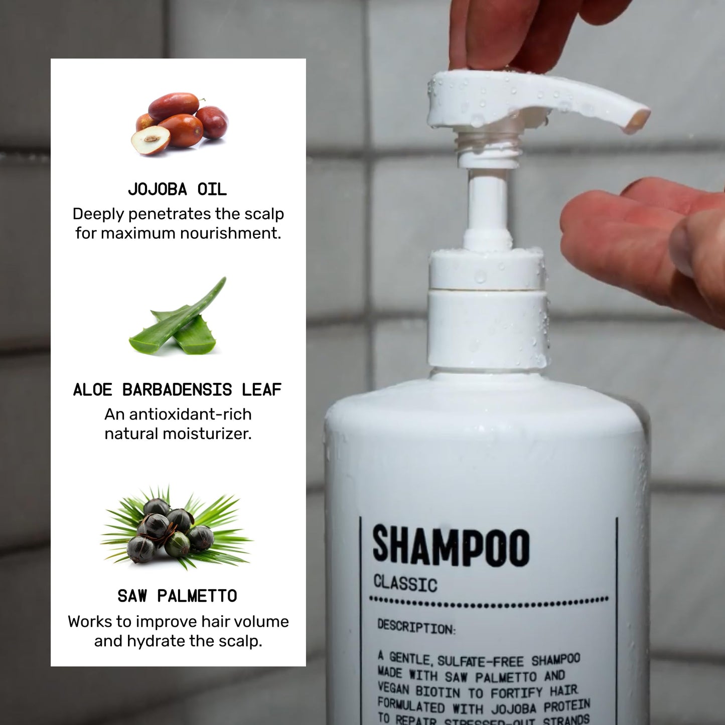 Blu Atlas Men's Natural Shampoo - For All Hair Types - Gentle Cleansing, Deep Hydrating Shampoo Vegan Sulfate and Paraben-Free- Classic Scent, 16 oz.
