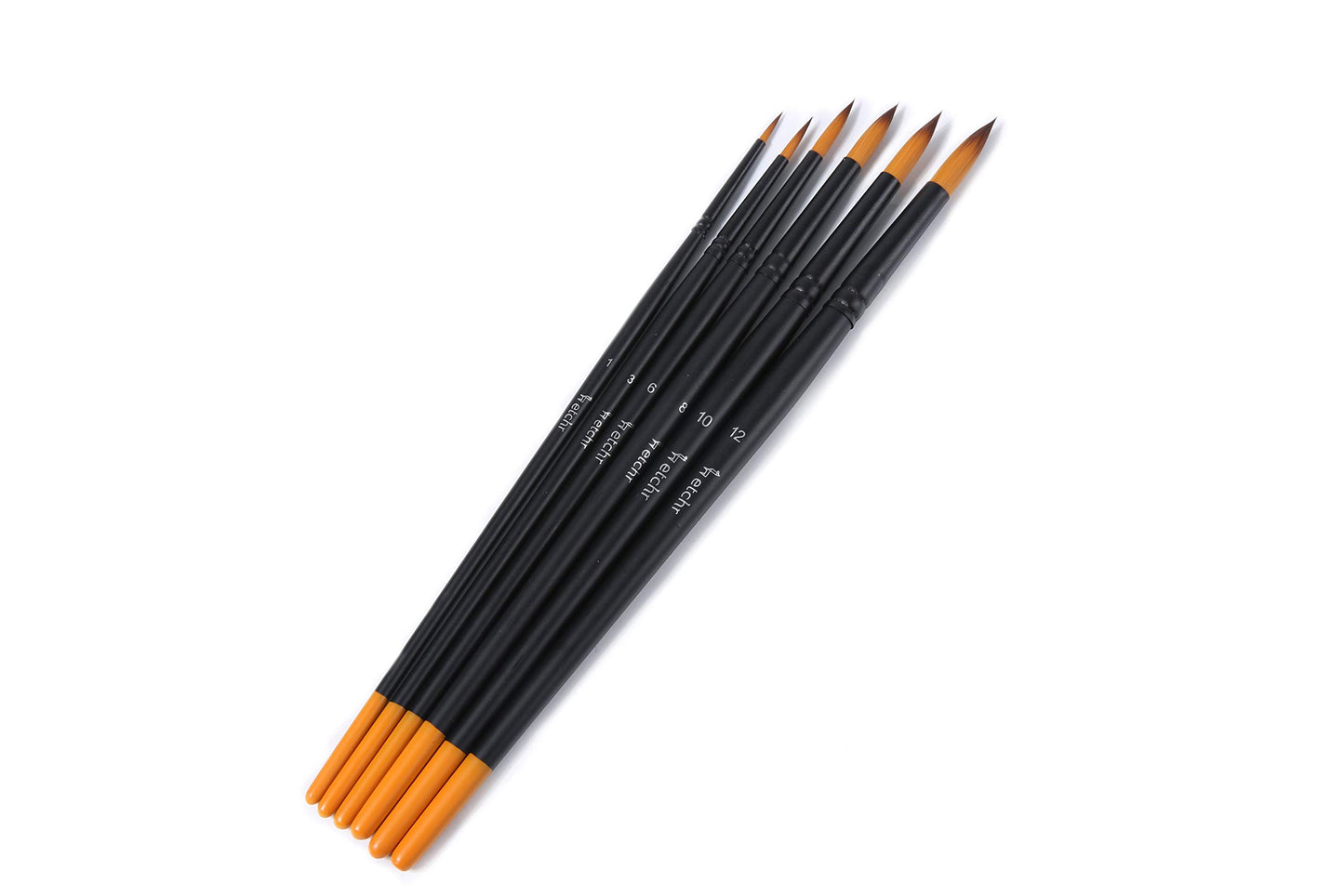 Etchr Professional Artist Paintbrushes – 10 Assorted Vegan-Friendly Watercolor Brushes in Carry Case - Quality Brush Set