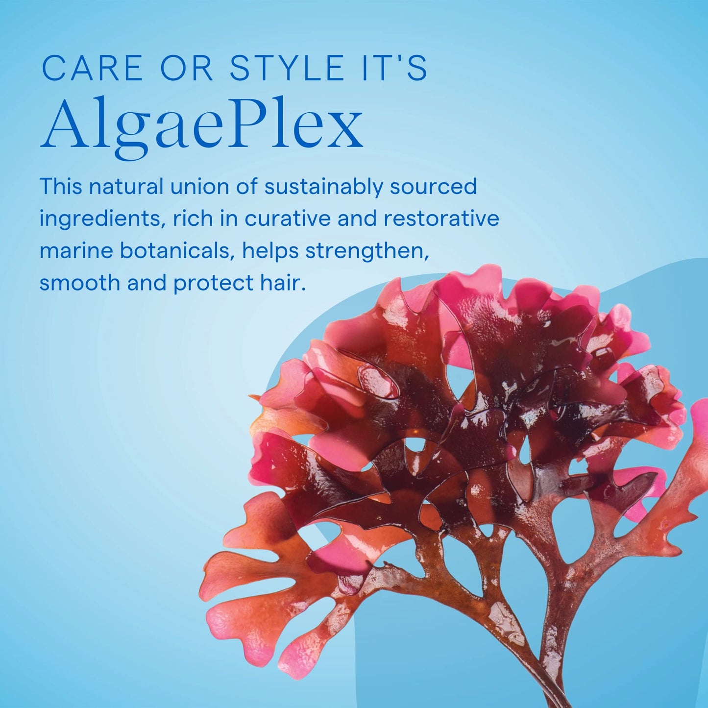 Aquage SeaExtend Silkening Conditioner, Improves Manageability and Prepares Hair for Sleek, Smooth Styling with Frizz-Free Results, 33.8 oz.