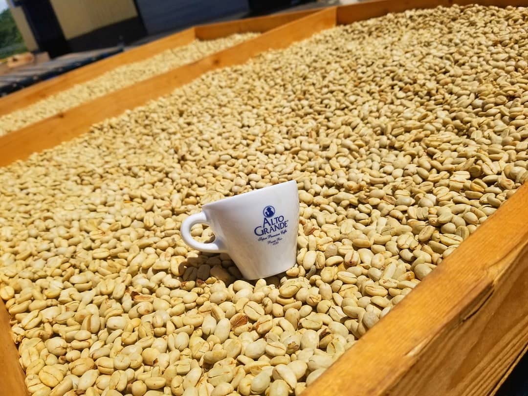 Alto Grande Premium Coffee Whole Bean - 2 Lbs (Pack of 1)