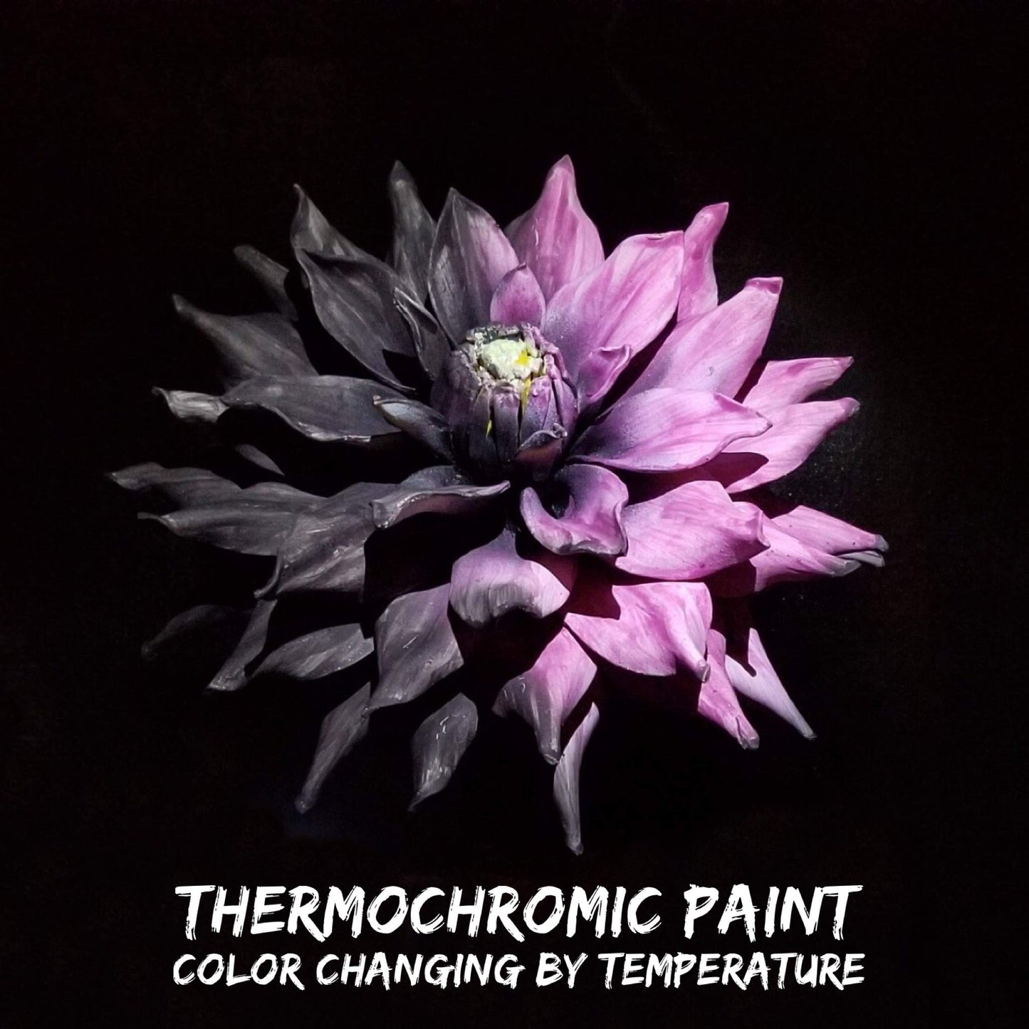 Temperature Activated Thermochromic Powder Pigment Black to Pink Changing at 77F/25C Perfect for Arts & Crafts Color Changing Slime Nail Art Secret Message Tumblers Science Experiments