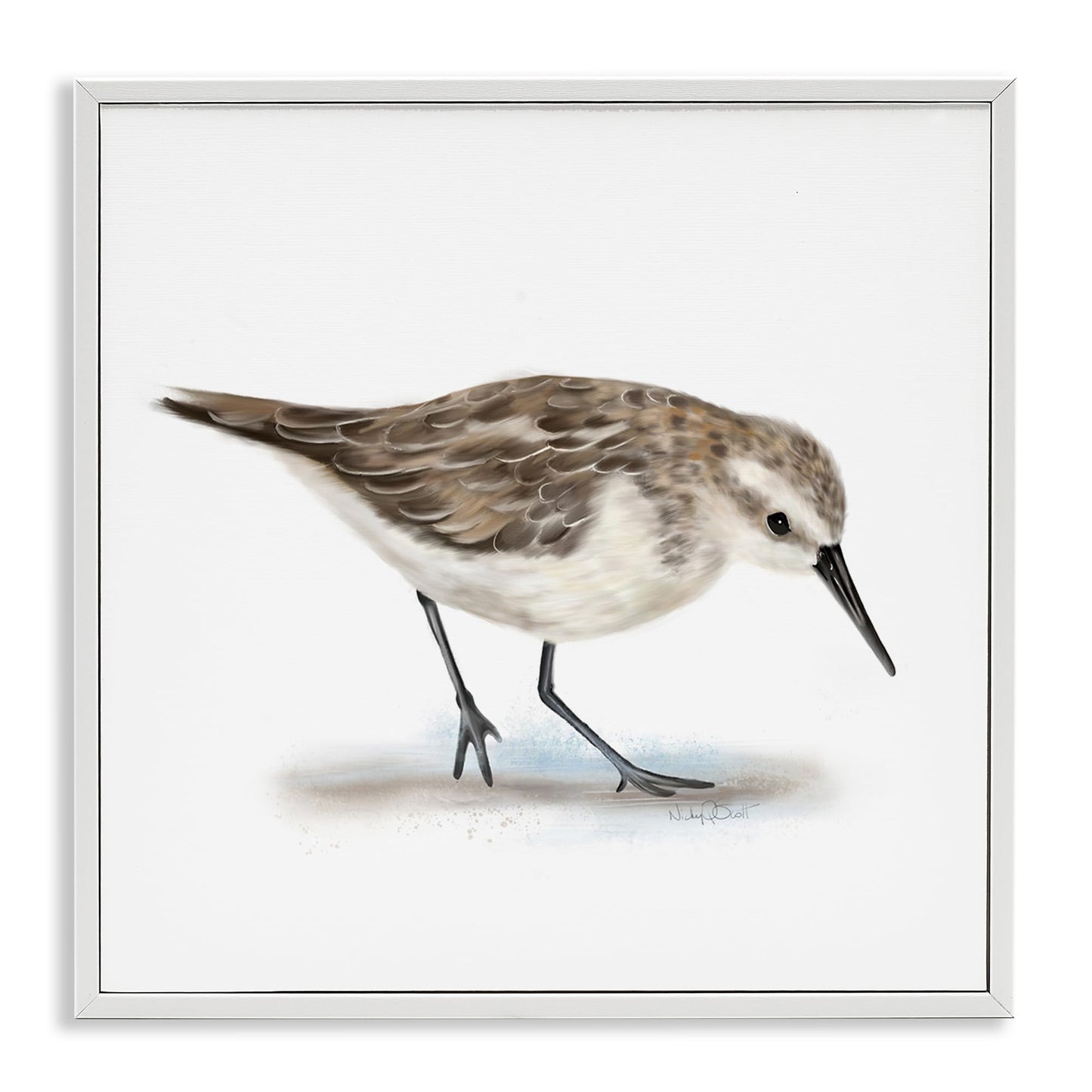 Stupell Industries Charming Sandpiper on Soft Sand Brown Nautical Bird, Designed by Studio Q White Framed Wall Art, 12 x 12