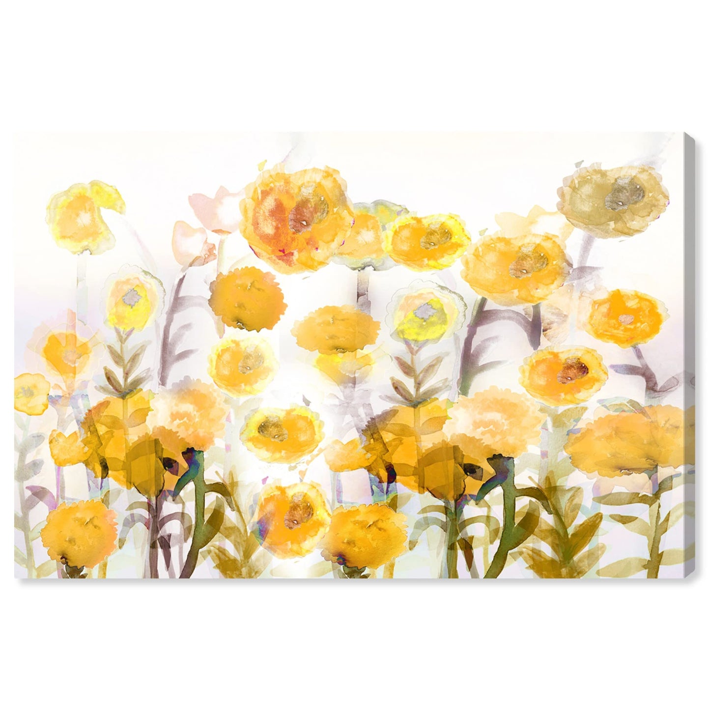 The Oliver Gal Artist Co. Floral and Botanical Wall Art Canvas Prints 'Bella Garden Poppy Yellow' Gardens 24" x 16"