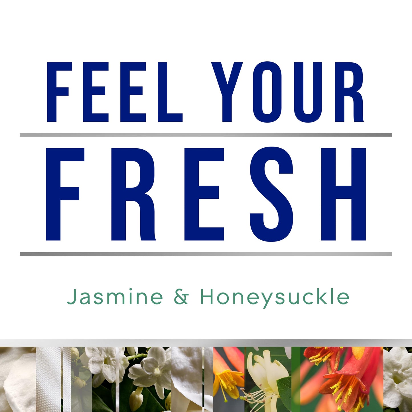 Glade Automatic Spray Refill, Jasmine & Honeysuckle, Scented Air Freshener for Home and Bathroom, 6.2 Oz, 6 Count