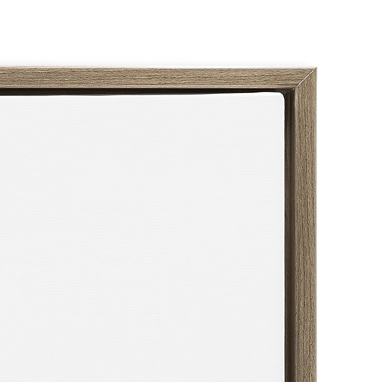 Stupell Industries Peering Raccoon Watercolor Framed Floater Canvas Wall Art by George Dyachenko