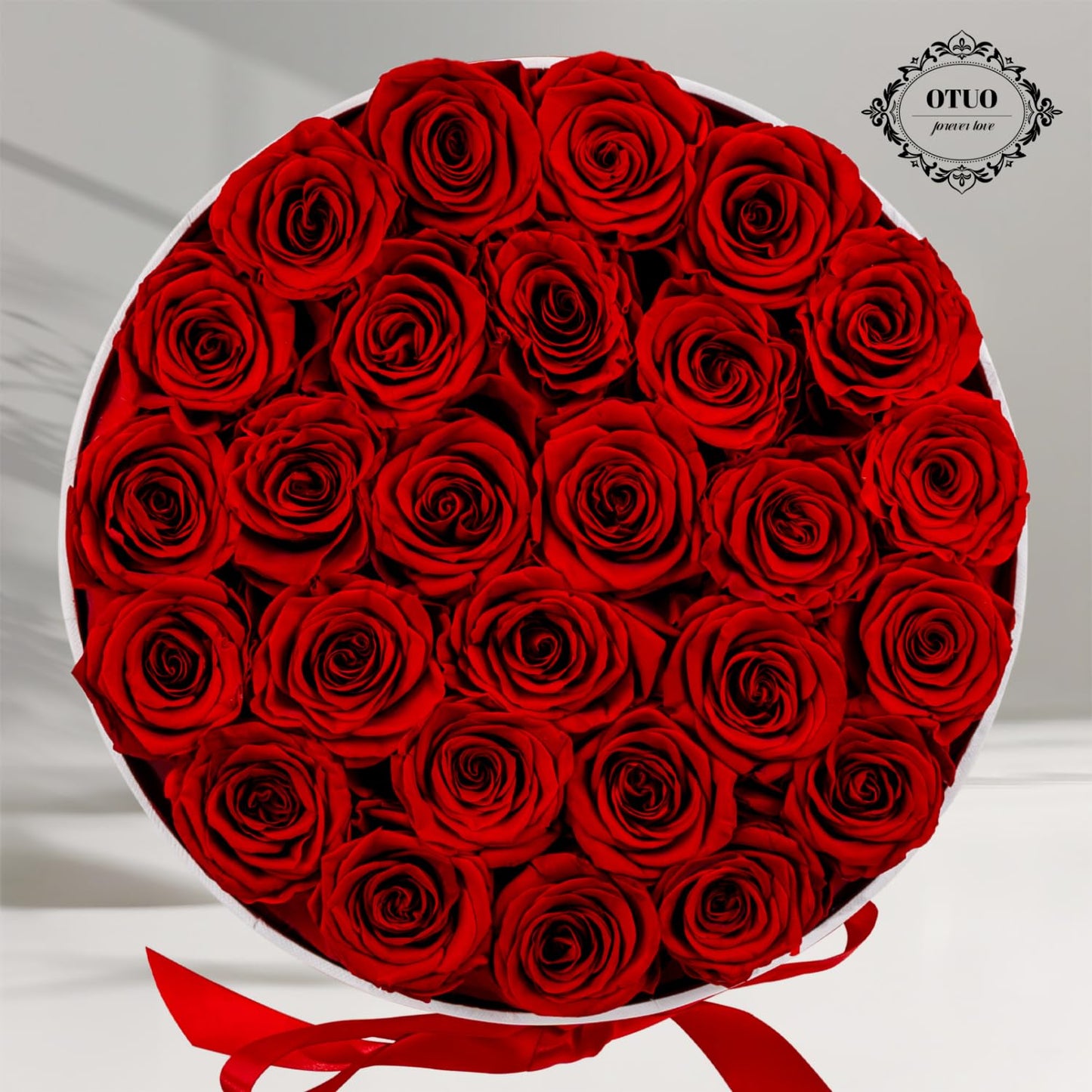 Otuo 27 Piece Preserved Roses in a Box - Forever Flowers for Delivery Prime, Eternal Roses Mothers Gifts for Mom, Valentine's Day, Wife Anniversary Birthday Gifts for Women(Red)