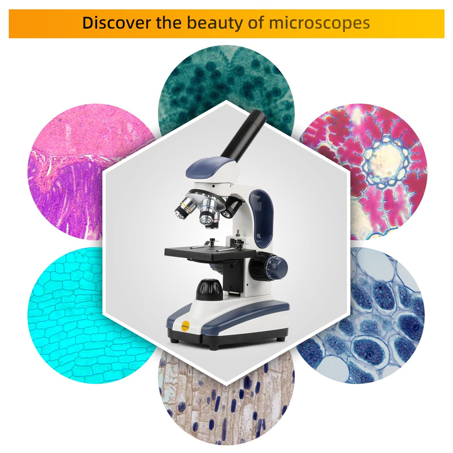 SWIFT Compound Monocular Microscope SW200DL with 40X-1000X Magnification, Dual Light, Precision Fine Focus, Wide-Field 25X Eyepiece and Cordless Capability for Student Beginner