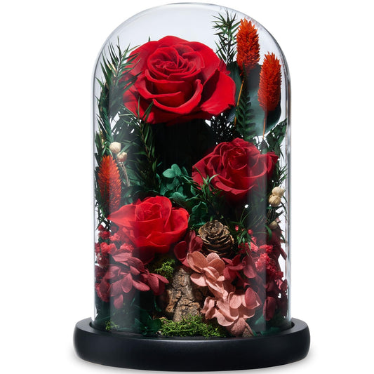 CuteWelt Preserved Roses,Forever Fresh Flowers 7.48in,Gift for Women,Mom,Grandma,Wife,Girlfriend,Sister,and Daughter Perfect for Birthday,Mother’s Day,Valentine’s Day (True Romance1)