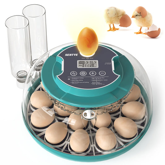18 Egg Incubator with Automatic Egg Turning and Humidity Control, Egg Incubators for Hatching Eggs, Incubator for Chicken Eggs, Quail Eggs