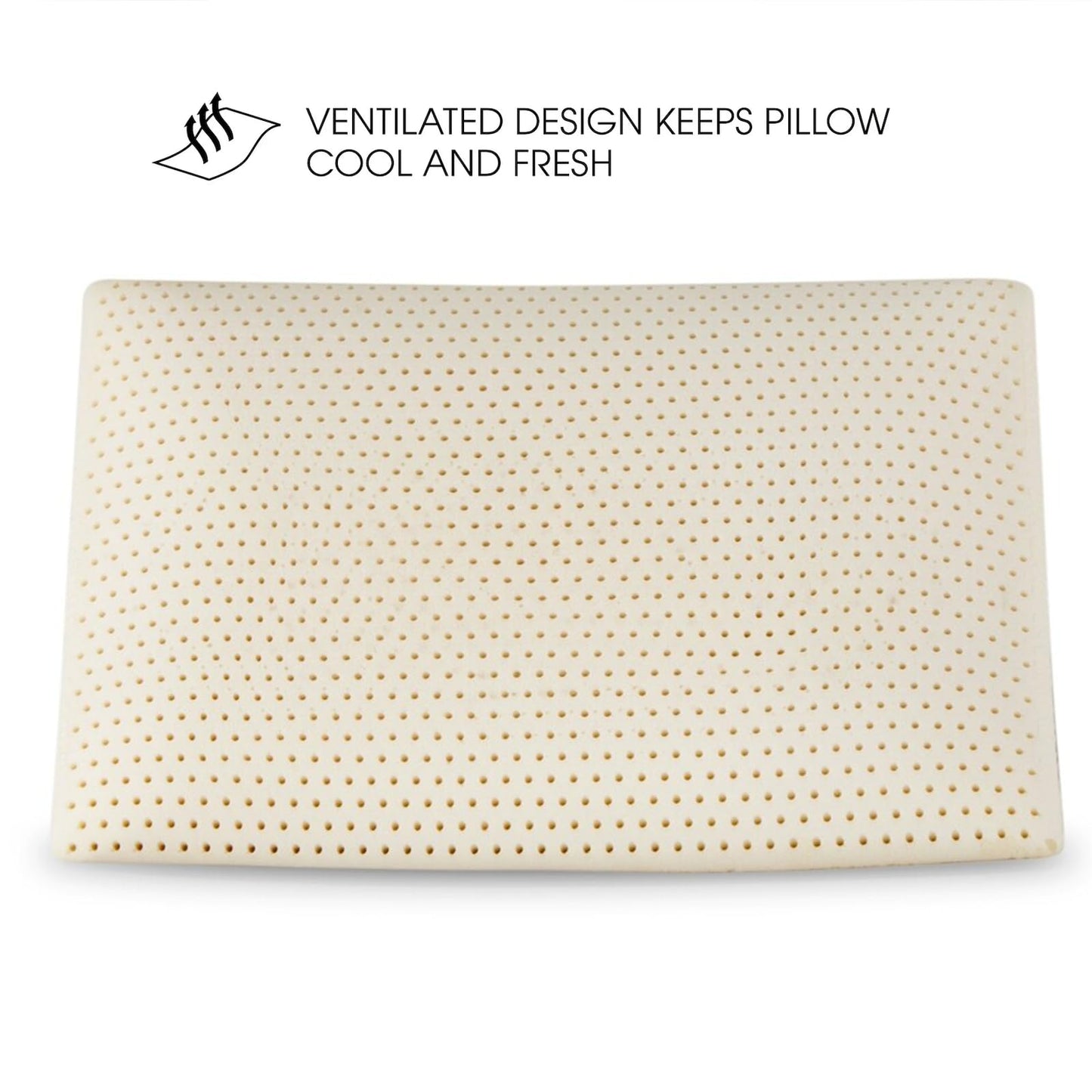 ECQOLRA DOHPAOOK 100% Natural Talalay Latex Pillow, Luxury Support Sleeping Bed Pillow for Side, Back, and Stomach Sleepers, Removable Breathable Cotton Cover, Standard (Mid Loft)
