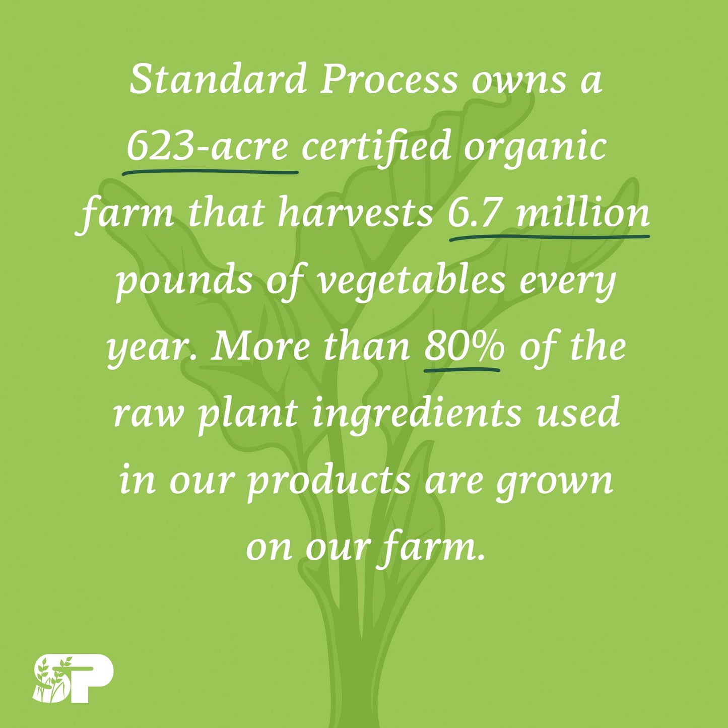 Standard Process Inc. USF Ointment - Whole Food Moisturizer and Dry Skin Ointment for Dry Hands and Dry Skin with Lard, Lanolin, Sunflower Lecithin, Flaxseed Oil, and Beeswax - 1.75 Ounce