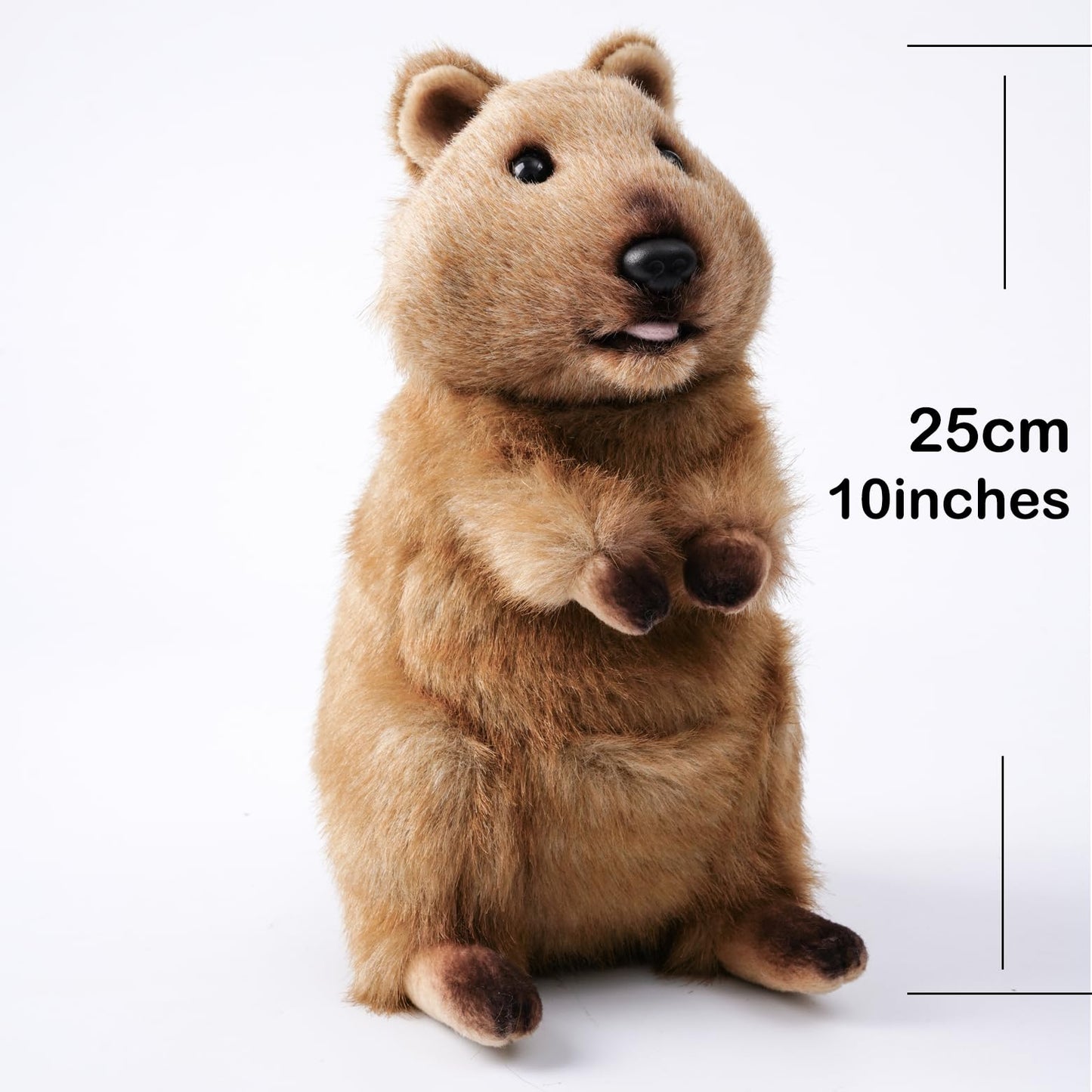 keaiart-ly Cute Quokka Stuffed Animal Plush Toy, Australia Animal Plushie, Cuddly Quokka Doll-10 inchesF