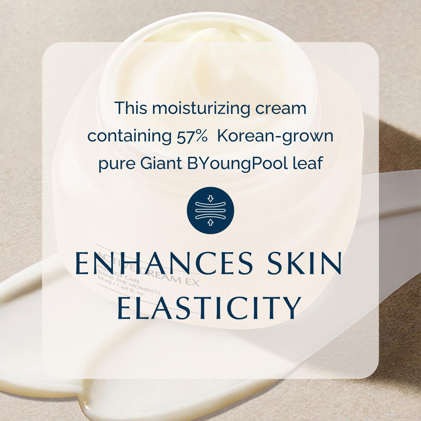 Incellderm Active Cream 50ml - Strengthen Skin Barrier, Plant Stem Cell, Intense Moisturizing, All Skin Types, K-Beauty, Made in Korea