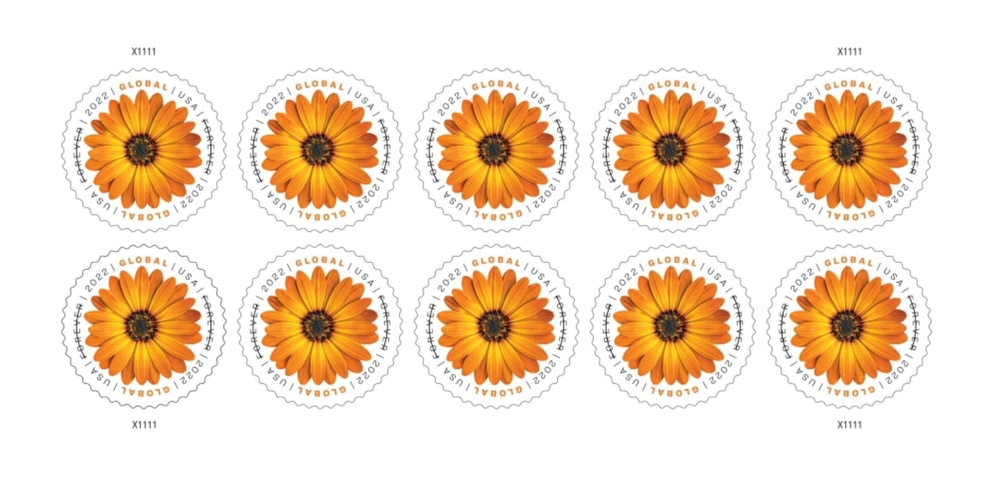 2022 Global Forever International Mail African Daisy Postage Stamps (1 Sheet, 10 Stamps)
