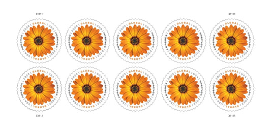 2022 Global Forever International Mail African Daisy Postage Stamps (1 Sheet, 10 Stamps)