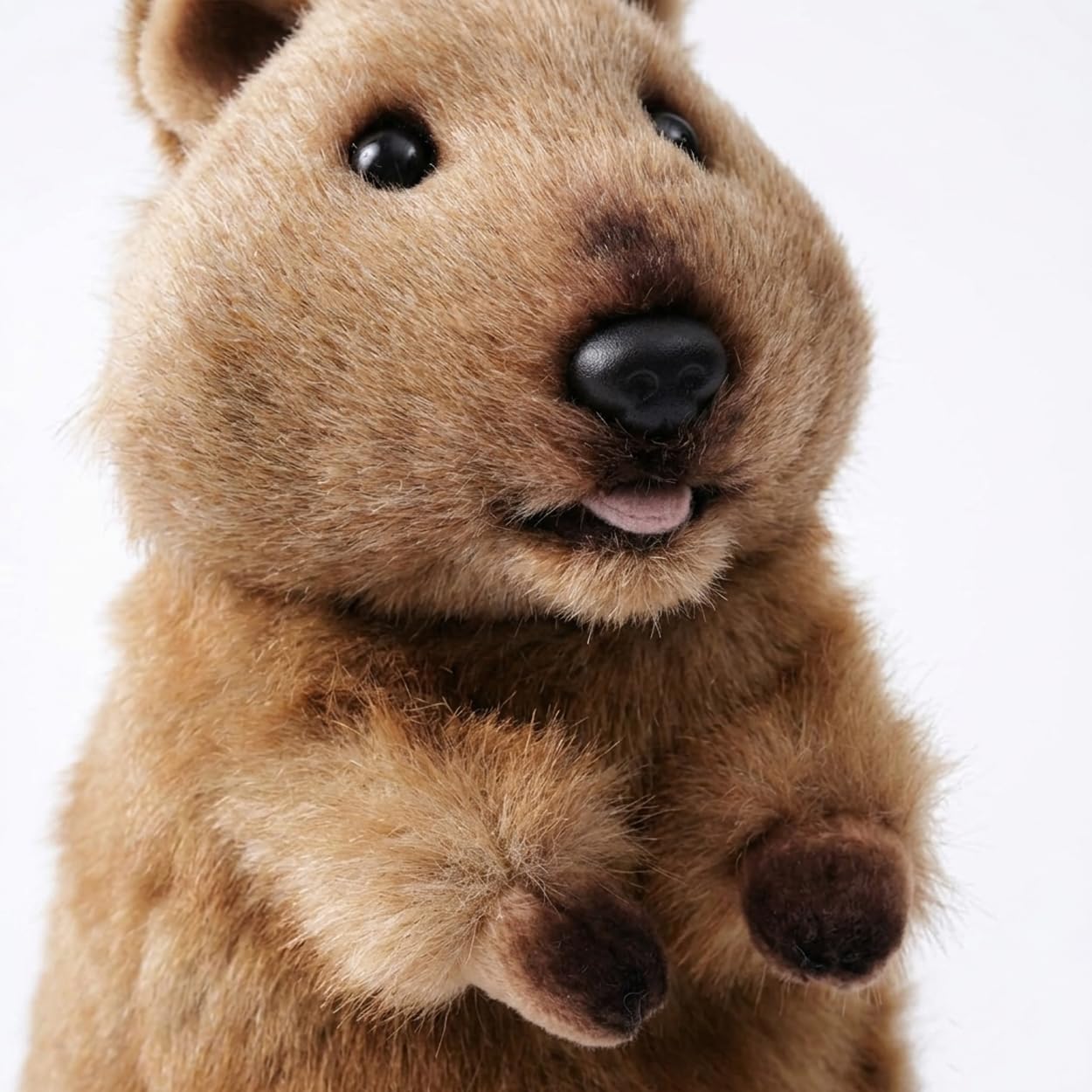 keaiart-ly Cute Quokka Stuffed Animal Plush Toy, Australia Animal Plushie, Cuddly Quokka Doll-10 inchesF