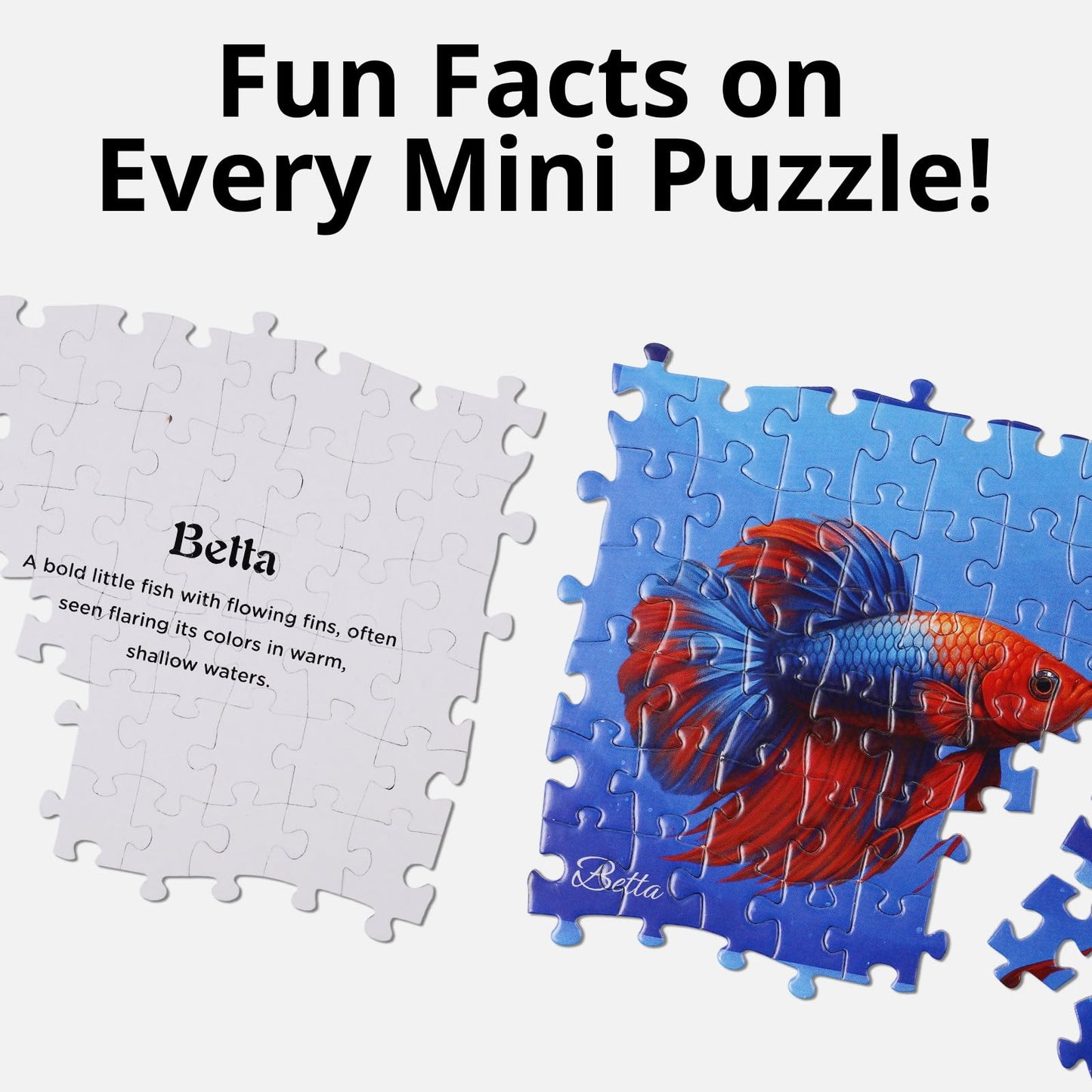 rokt&razo, Fishes, 24 Mini Pack Kids Puzzles, 1000 Pieces Advert Puzzles, Family Game Nights, Finish Size 27.5 * 19.7 in (Index on The Back)