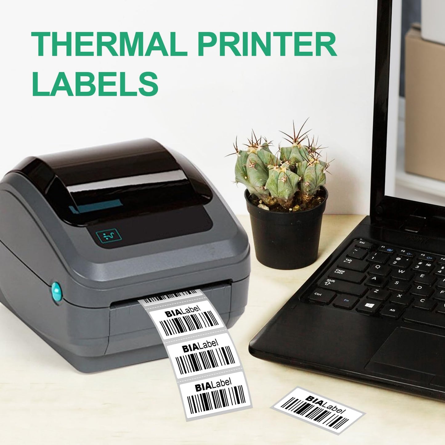 12 Rolls 2" X 1" Thermal Labels, 1300/Roll - Direct Thermal Labels Compatible with Zebra & Rollo Printers, BIAlabel