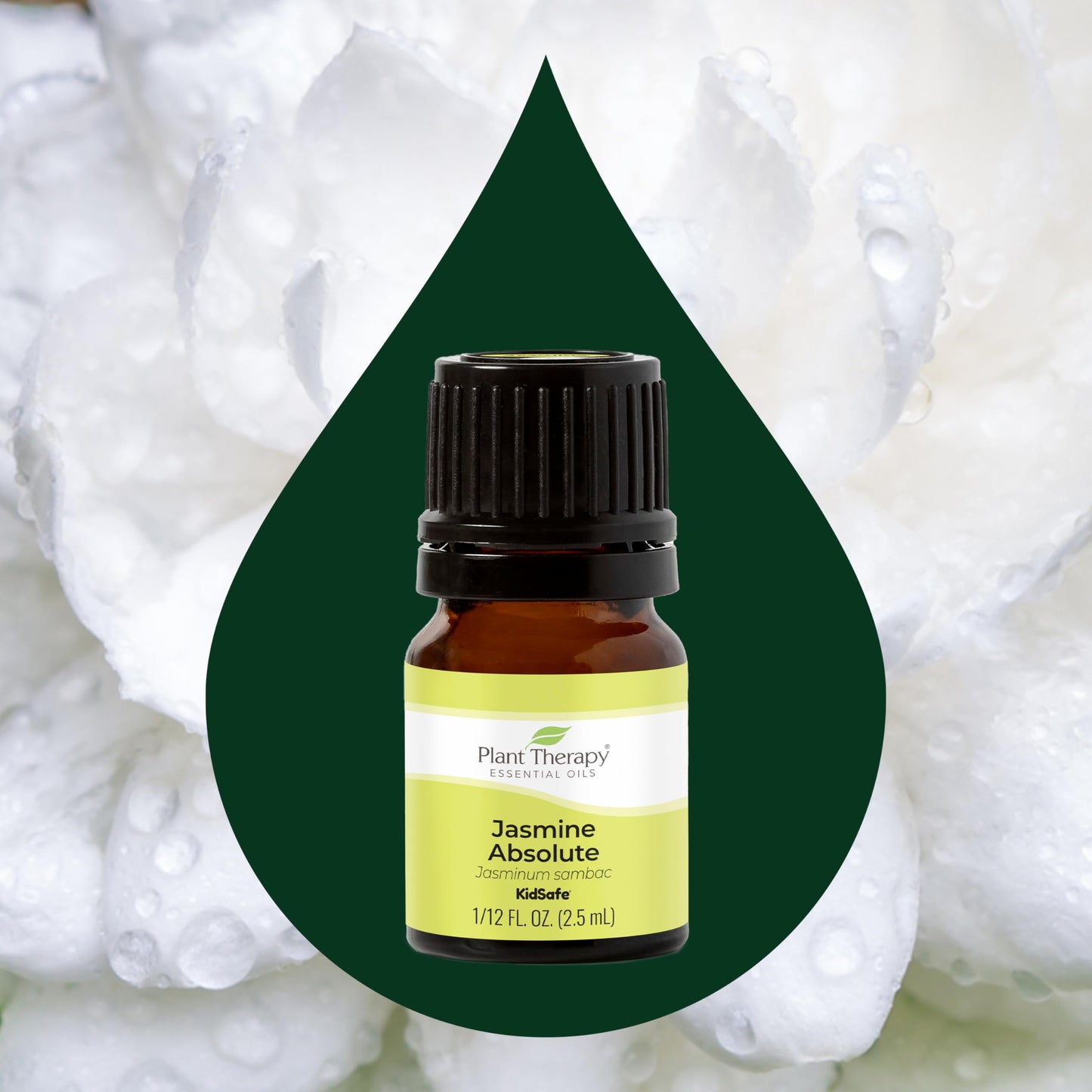 Plant Therapy Jasmine Absolute Essential Oil 100% Pure, Undiluted, Natural Aromatherapy, Therapeutic Grade 2.5 mL (1/12 oz)