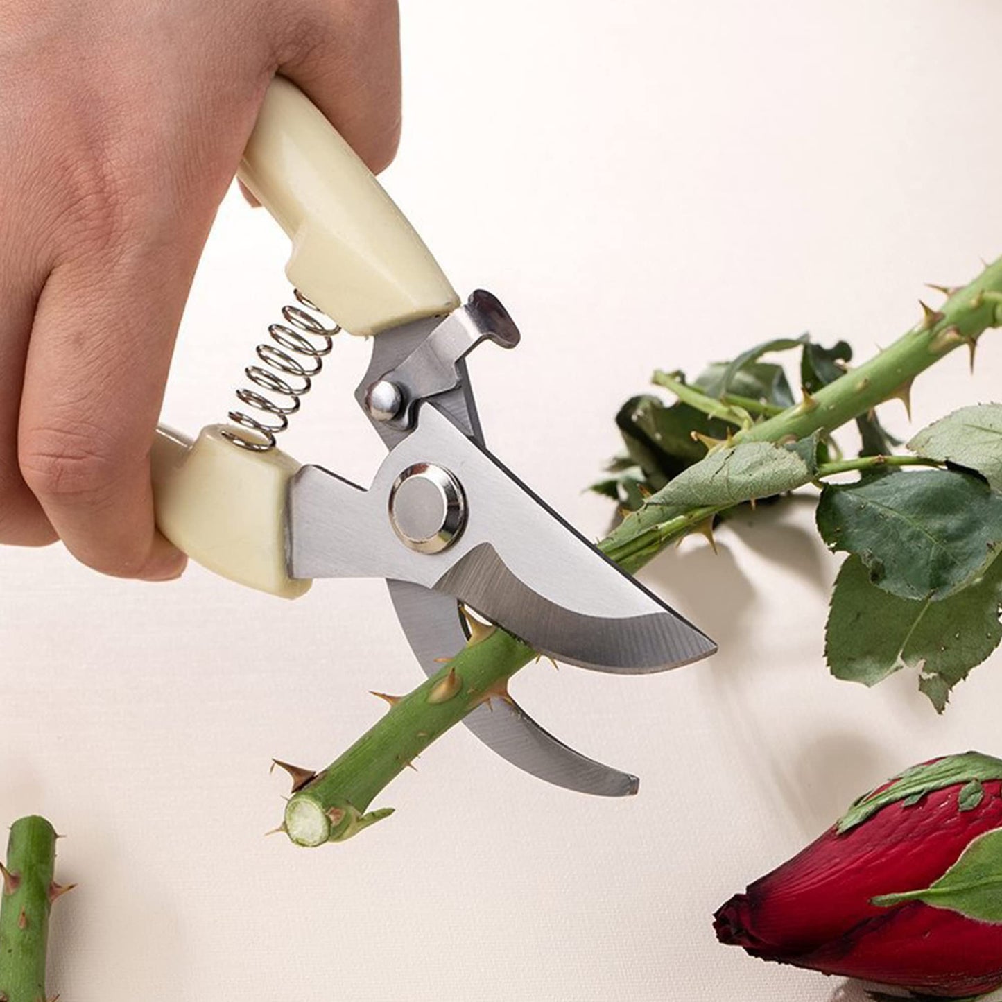 Criativo Live 14-Pack Gardening Scissors,Pruning Shear, Florist Scissors for home and gardening