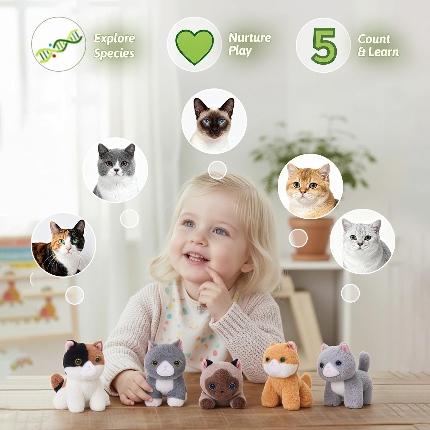 OUOZZZ Cat Stuffed Animal House with 5 Cute Kittens, 12.5“ x 7.9" x 11.8"