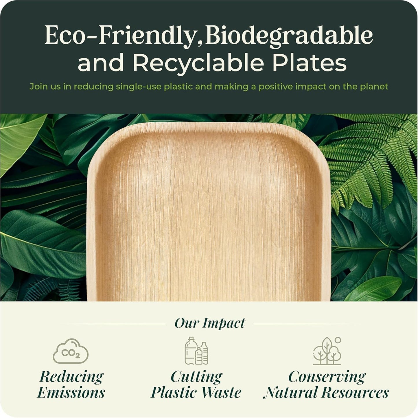 Palm Leaf Plate Bamboo Paper Disposable 6 Inch 200 Bulk Appetizer and Dessert Square Party Pack Eco Biodegradable Compostable Wooden Plate Better Than Plastic By KoalaLove