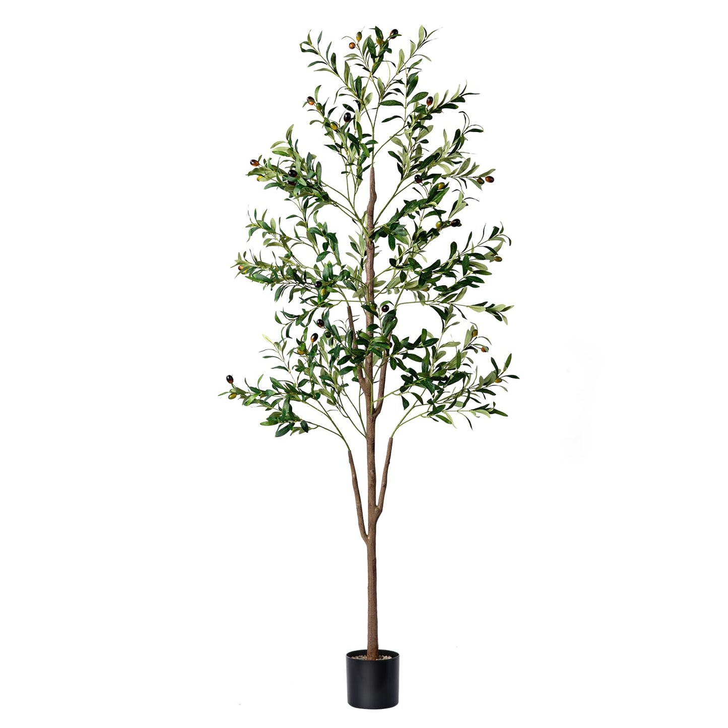 Olive Tree, 6FT Tall Faux Olive Tree with Lights Moss and Planter, Olive Trees Artificial Indoor with Realistic Wood Trunk and Lifelike Fruits, Fake Olive Tree for Home Office Living Room Decor