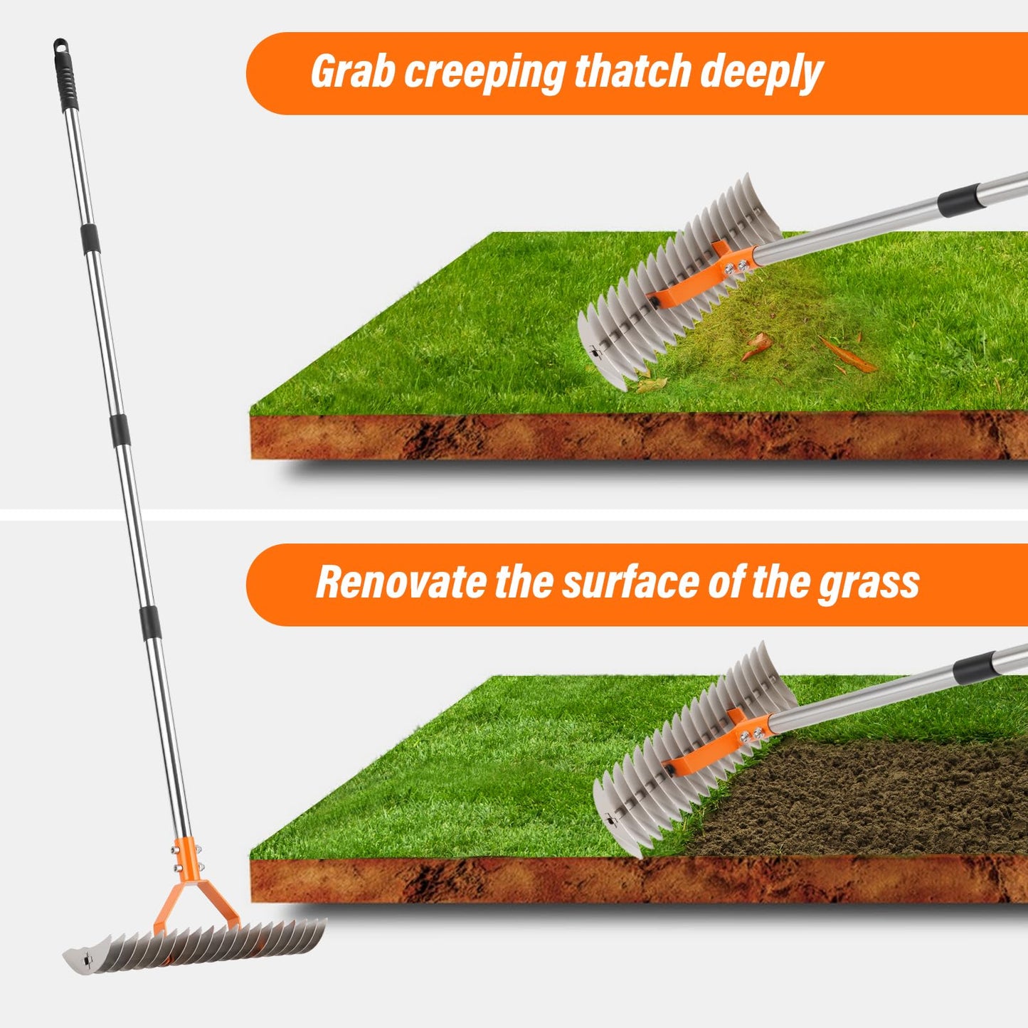 62" Thatch Rake, 19 Double-Sided Tines, 15-Inch Wide Lawn Rake, Adjustable Handle Garden Rake for Dethatching, Gardening, Yard Work, Heavy Duty Dethatcher Rake and Rock Rake