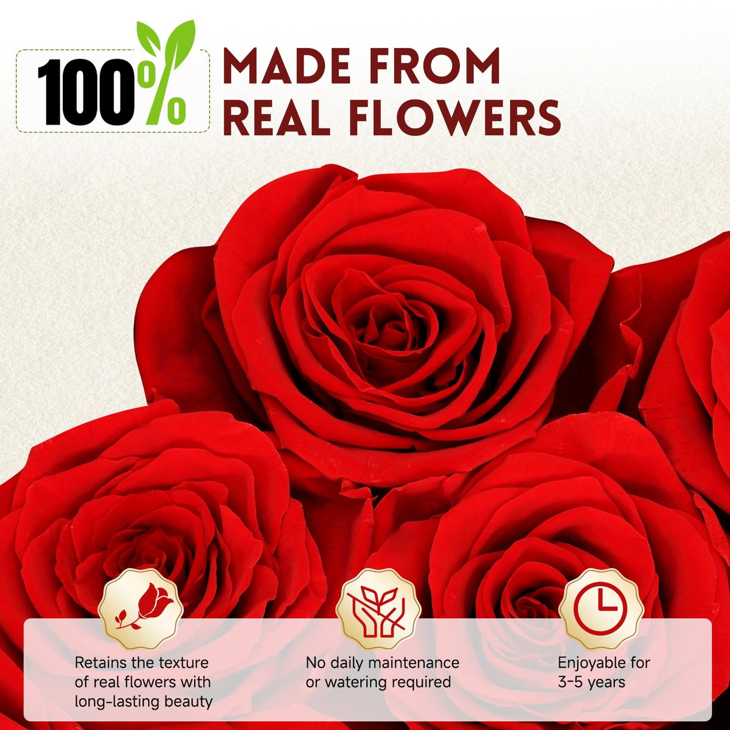 27 Forever Preserved Roses in a Box, Forever Gift for Women, Flowers in a Luxury Suede Container, Birthday Preserved Flowers for Mom, Mothers Day Red Rose Box