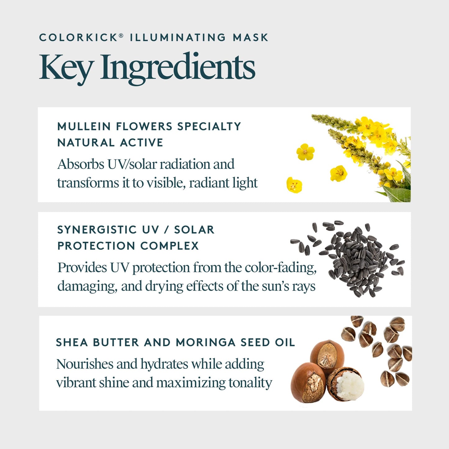 Virtue ColorKick Illuminating Hair Mask | Tones, Nourishes, Preserves Color-Treated Hair