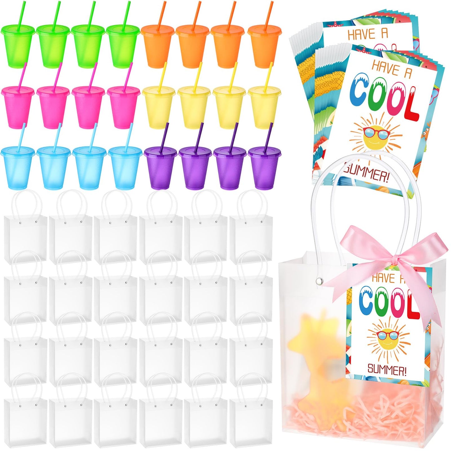 Reallnaive 24 Sets End of The Year Student Gifts Bulk Pool Party Favors 16 oz Colorful Plastic Cups Tumblers with Lids Straws Gift Bags with Handles Summer Cards for Beach Party 6 Colors