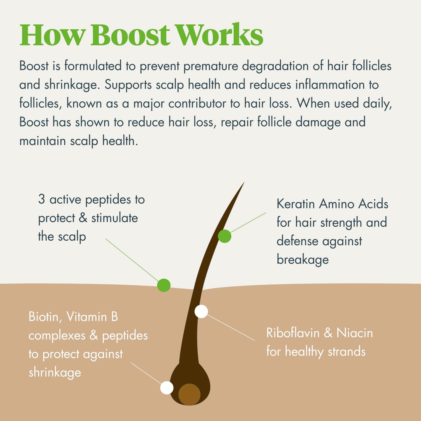 Reviv3 Procare Biotin for Hair Follicles – Biotin Hair Growth Complex Protects from UV Rays – Hair Root Booster for Natural & Color Treated Hair – Hair Care Products for Women w/Thinning Hair (1.7 oz)