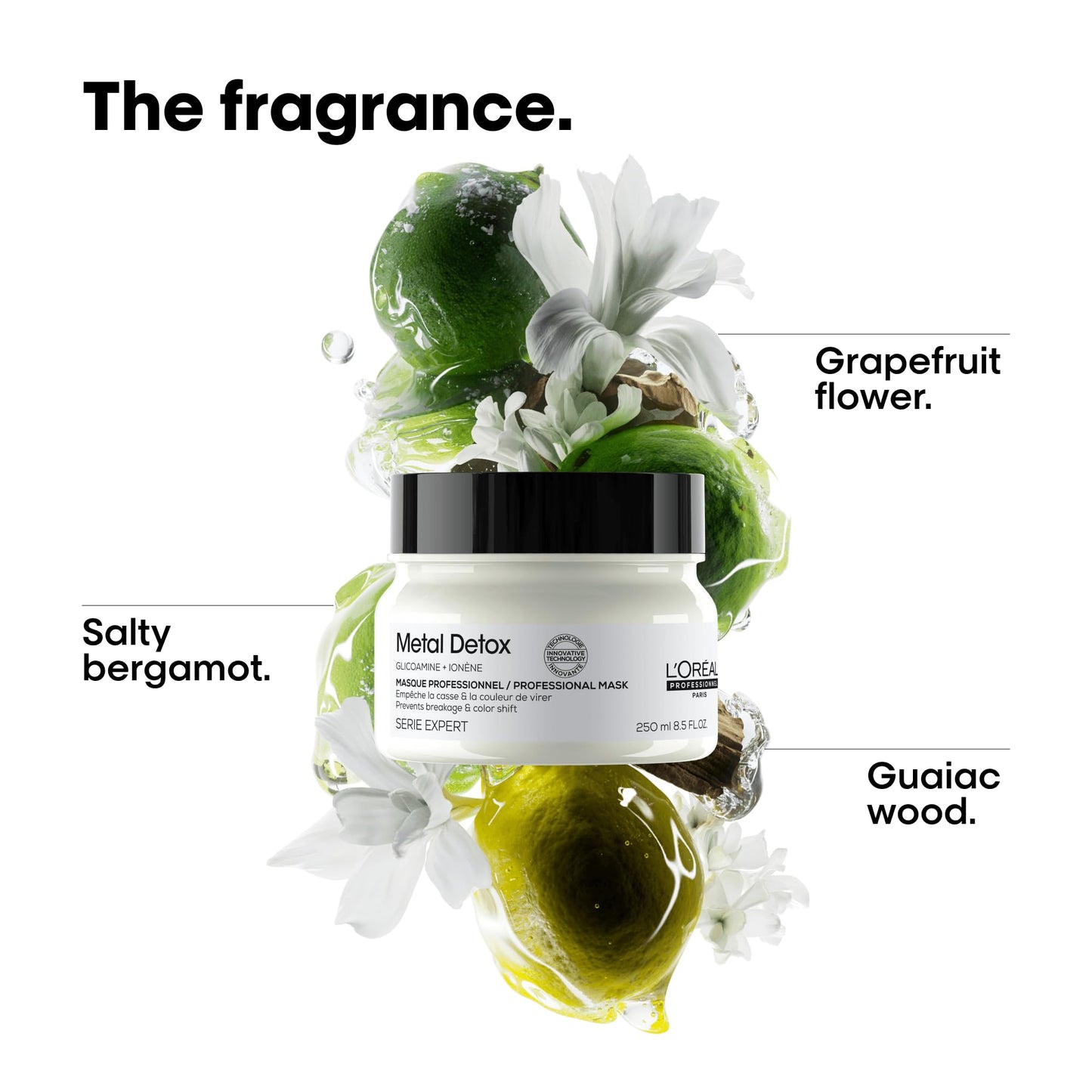 L'Oreal Professionnel Metal Detox Hair Mask | Deep Conditioner & Treatment | Prolongs Hair Color Prevents Damage & Adds Softness | For Dry, Damaged & Color Treated Hair | Paraben & Sulfate-Free