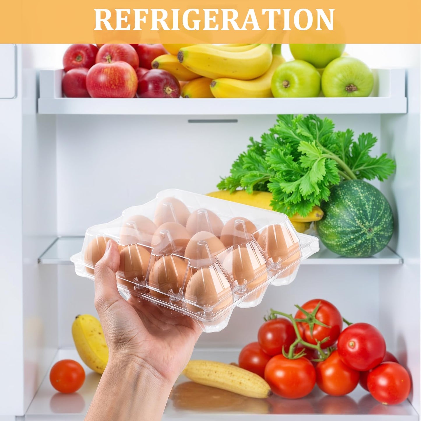 APOCHON 200PCS Clear Plastic Egg Cartons 6 Count,Half Dozen Egg Cartons Cheap Bulk for Chicken Eggs,Reusable Egg Holder for Family,Pasture,Farm Markets Display - Medium Egg Containers 2x3 Grids