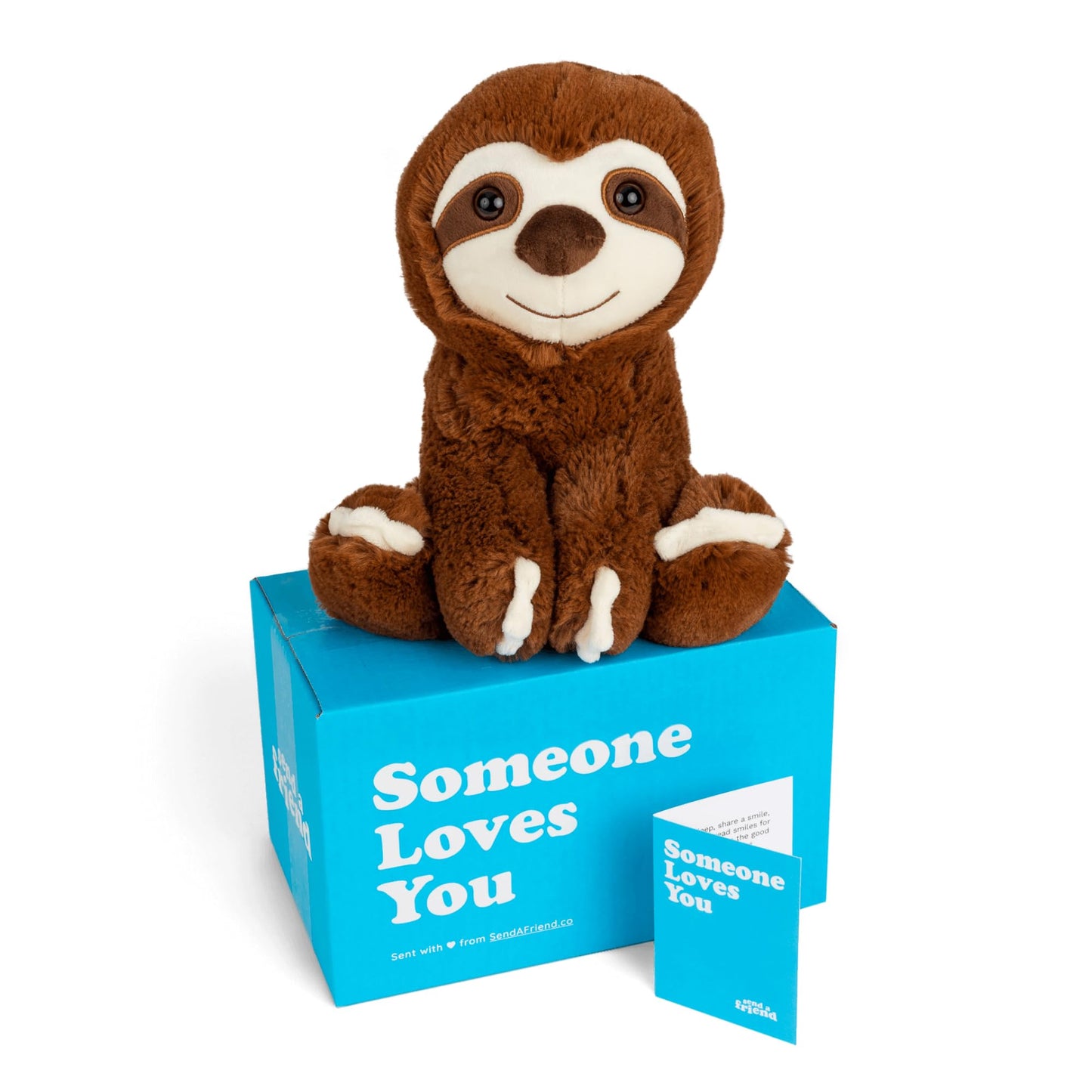send a friend Sam The Sloth Stuffed Animal Care Package, Someone Loves You Box, Great Gift for Any Reason (Love You Notecard)