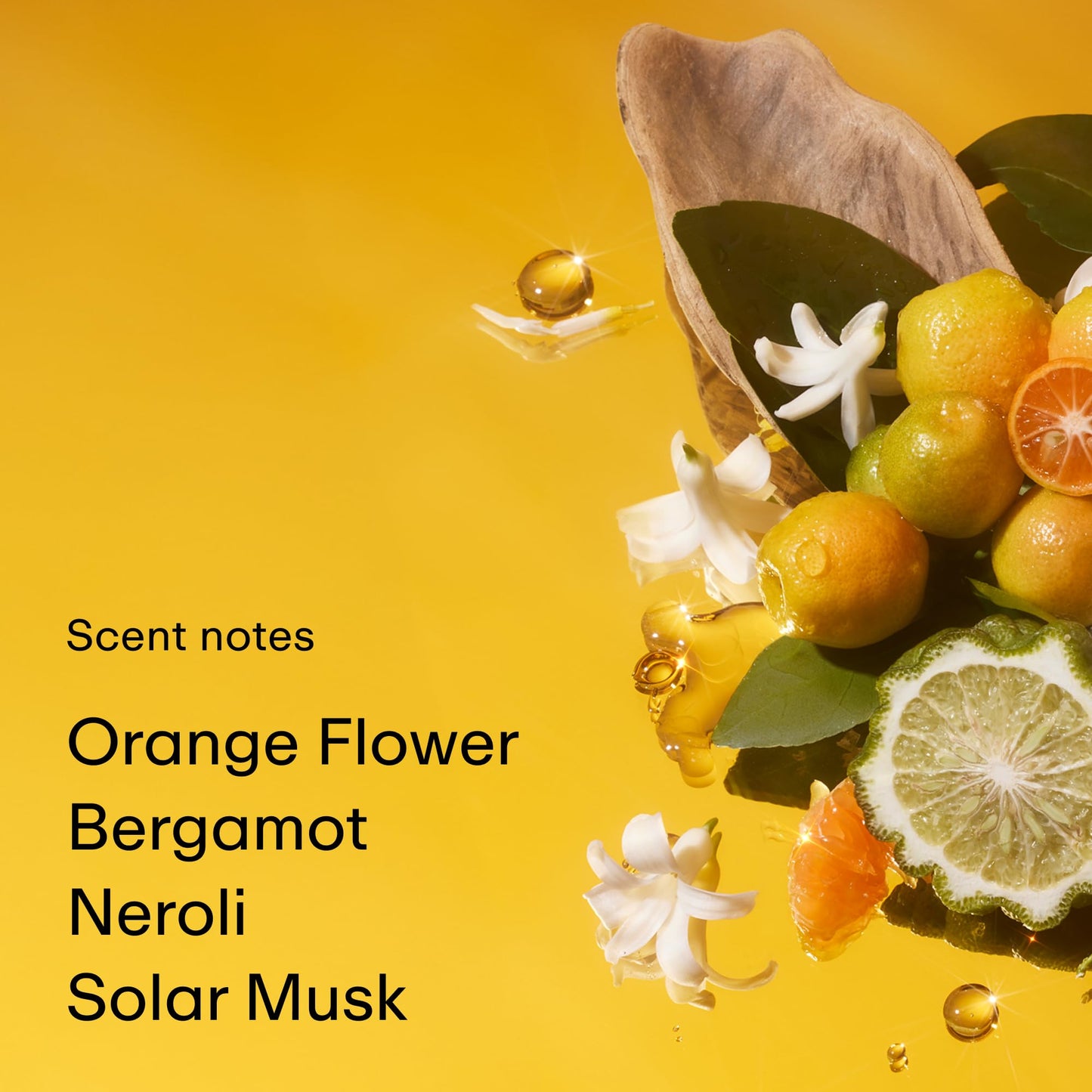 PHLUR Solar Power Eau de Parfum - Full Size Perfume for Women & Men Fragrance - Fruity Floral Perfume with Bergamot, Orange, Driftwood & Solar Musk (50mL)
