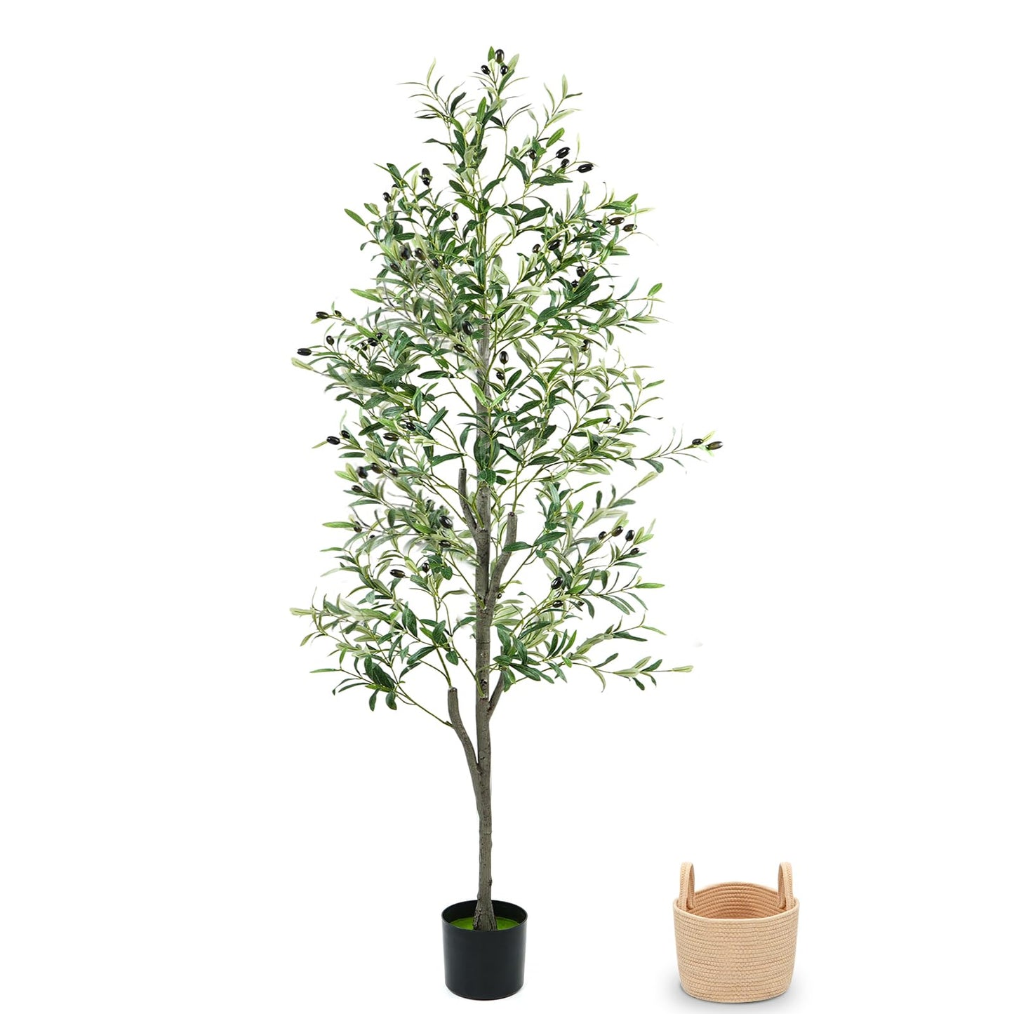 Zynaro Olive Trees Artificial Indoor 6FT, Faux Olive Tree with Woven Basket & Natural-Looking Wood Trunk, Realistic Leaves & Fruits, Maintenance-Free Tall Fake Olive Tree for Modern Home Office Decor