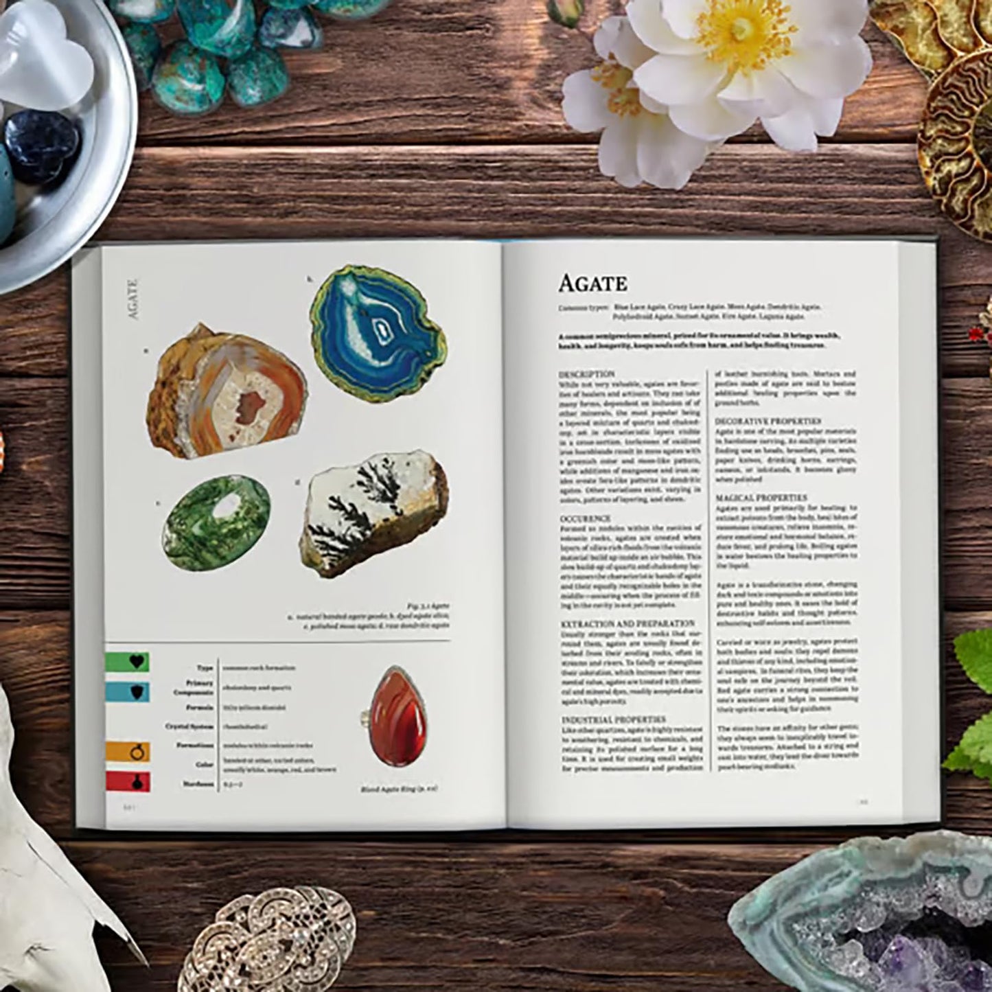 Renegade Game Studios: Geologist’s Primer - RPG Hardcover Sourcebook, Color 360pgs, Geological, Geomythological, Folklore, & Tabletop RPG Materials