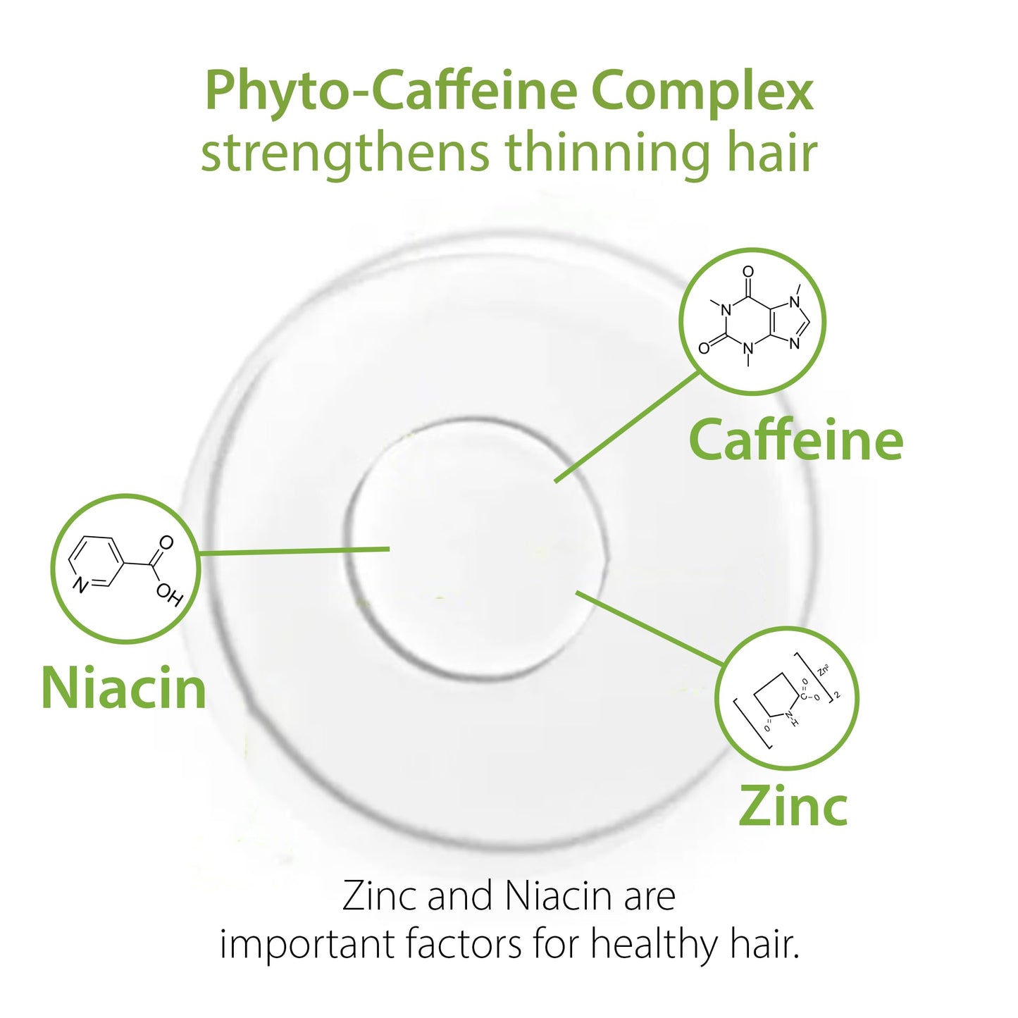 Plantur 39 Phyto-Caffeine Shampoo For Fine Brittle Hair, 16.9 Fluid Ounce (500 mL)