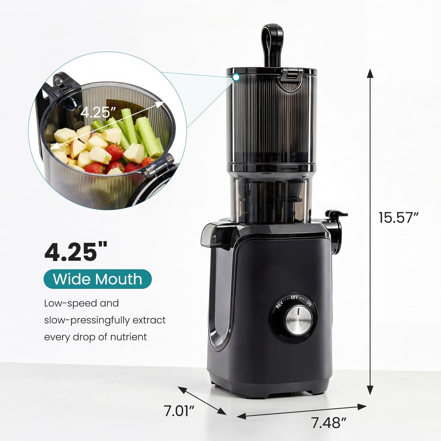 OLIXIS Cold Press Juicer, Slow Masticating Juicer Machine with Reverse Function, Juice Extractor for Making Nut Milk, Easy to Clean & Blade-Free, Black
