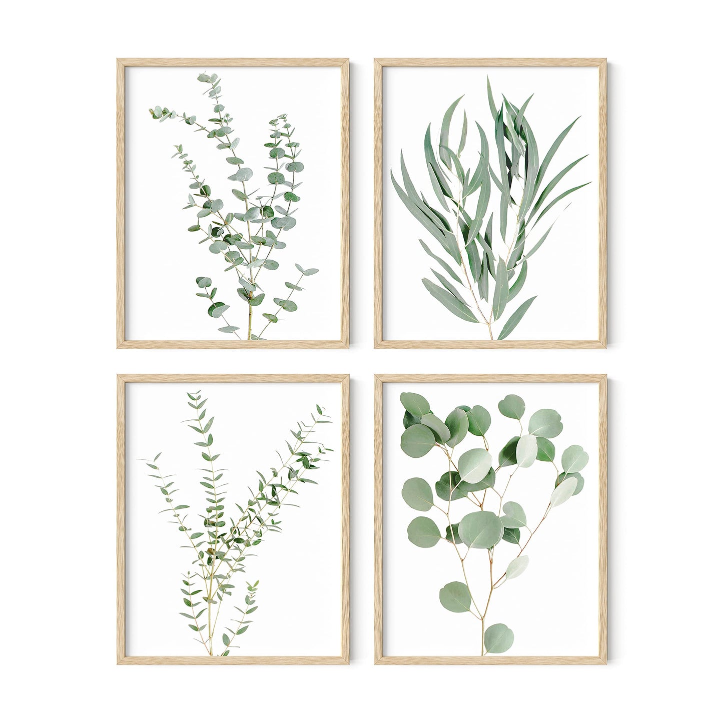HAUS AND HUES Botanical Plant Wall Art Prints - Set of 4 Plant Wall Decor Prints, Floral Kitchen, Flower Leaves Wall Art, Boho Leaf Eucalyptus Wall Decor, Green Botanical Poster (Beige Frame, 11x14)