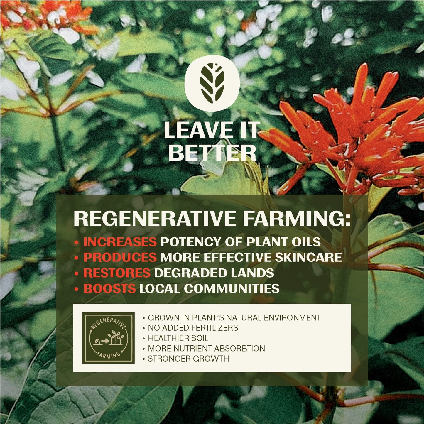 Thrive Natural Bakuchiol Serum for Face - Healthier Retinol Alternative with Hyaluronic Acid - Collagen Boosting Face Serum for Brighter and Firmer Skin - Vegan, Made in USA