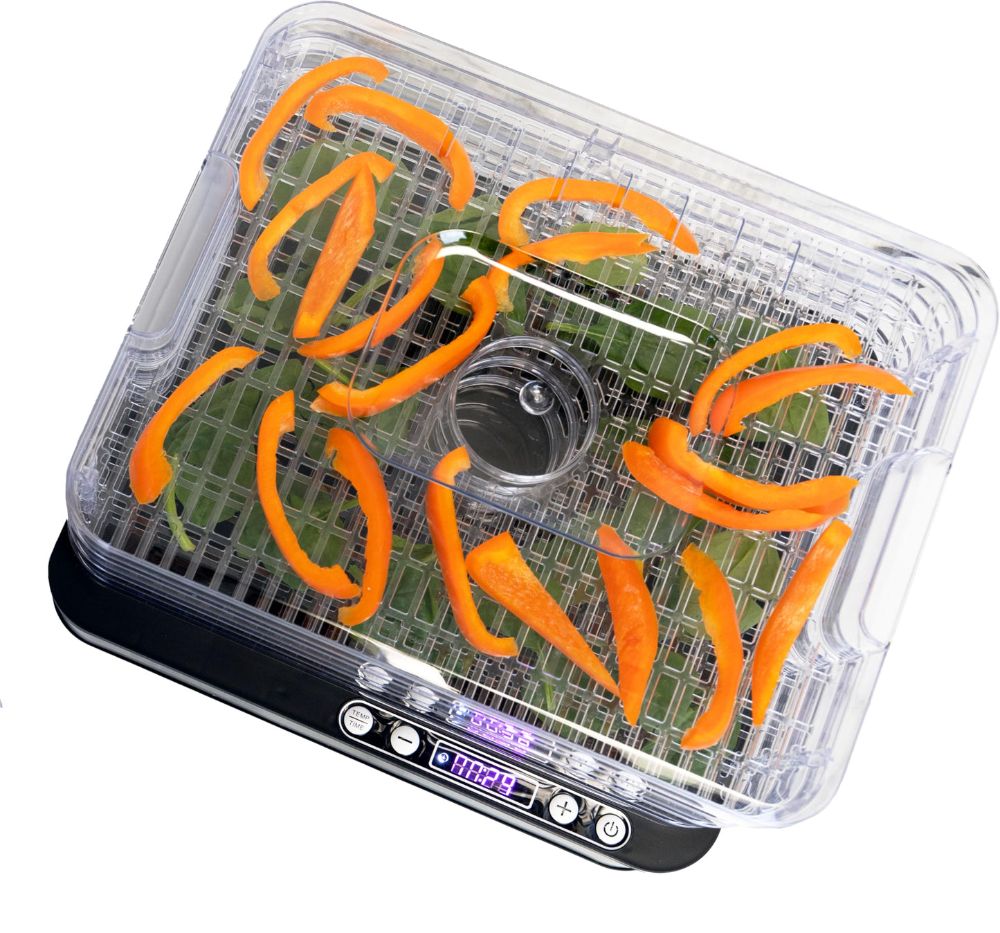 NESCO FD-5TC Snackmaster Food Dehydrator – 5 BPA-Free Trays, Adjustable Temp Control, Compact Design for Jerky, Fruit, Herbs, Pet Treats, 420W