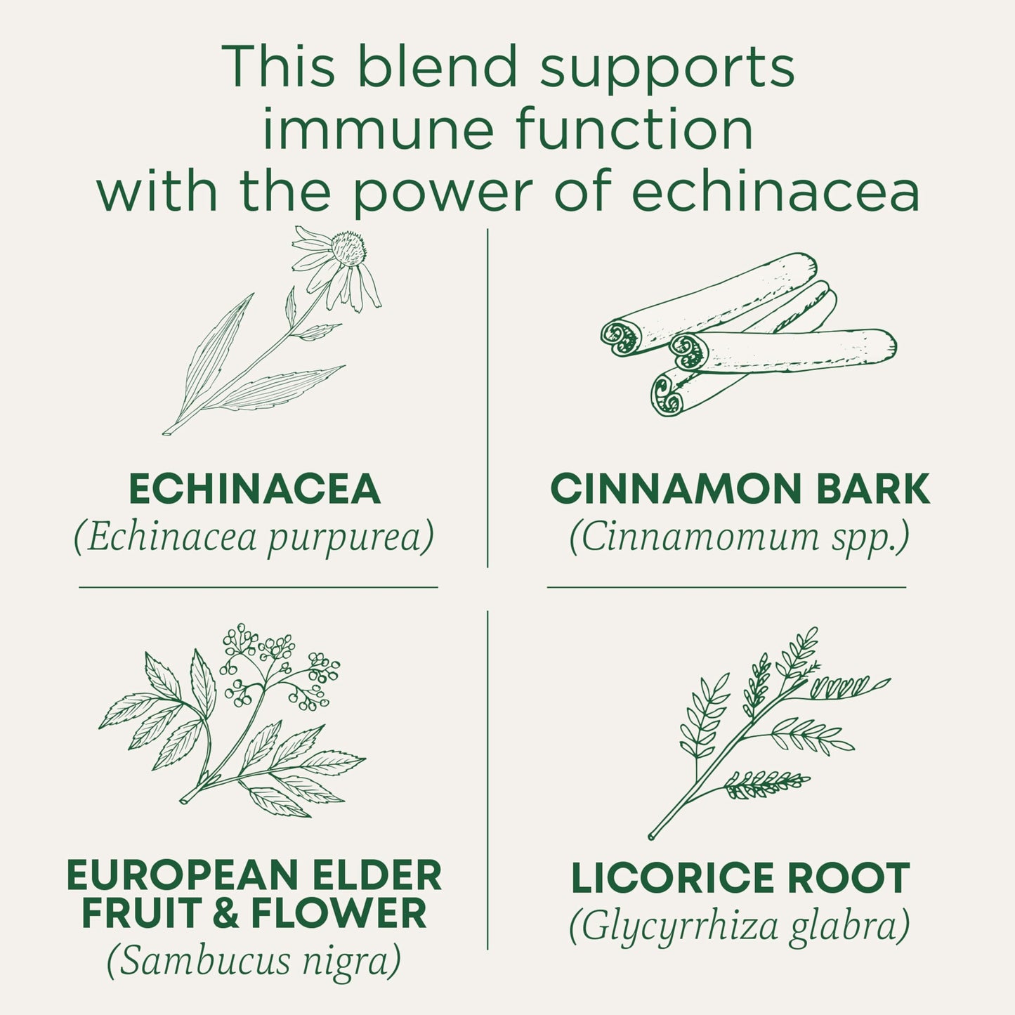 Traditional Medicinals Tea, Organic Immune Zoom Elderberry Echinacea - Supports Immune Function - Kosher, Non-GMO, Caffeine-Free, Compostable - 96 Tea Bags (Pack of 6)